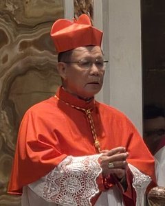 Cardinal Jose Advincula