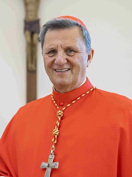 Cardinal Mario Grech in cardinal's vestments