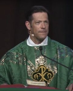 Fr Mike Schmitz